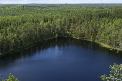 2017-07-26 Repoveden kansallispuisto